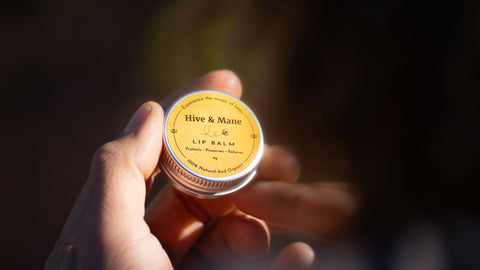 Lip Balm (Honey) 15g